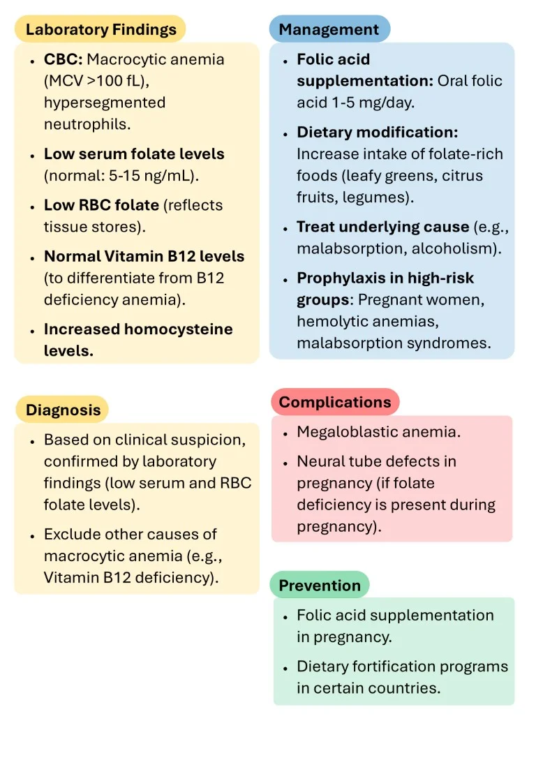 Download Cambridge Hematology Short Notes Book Sample (11)