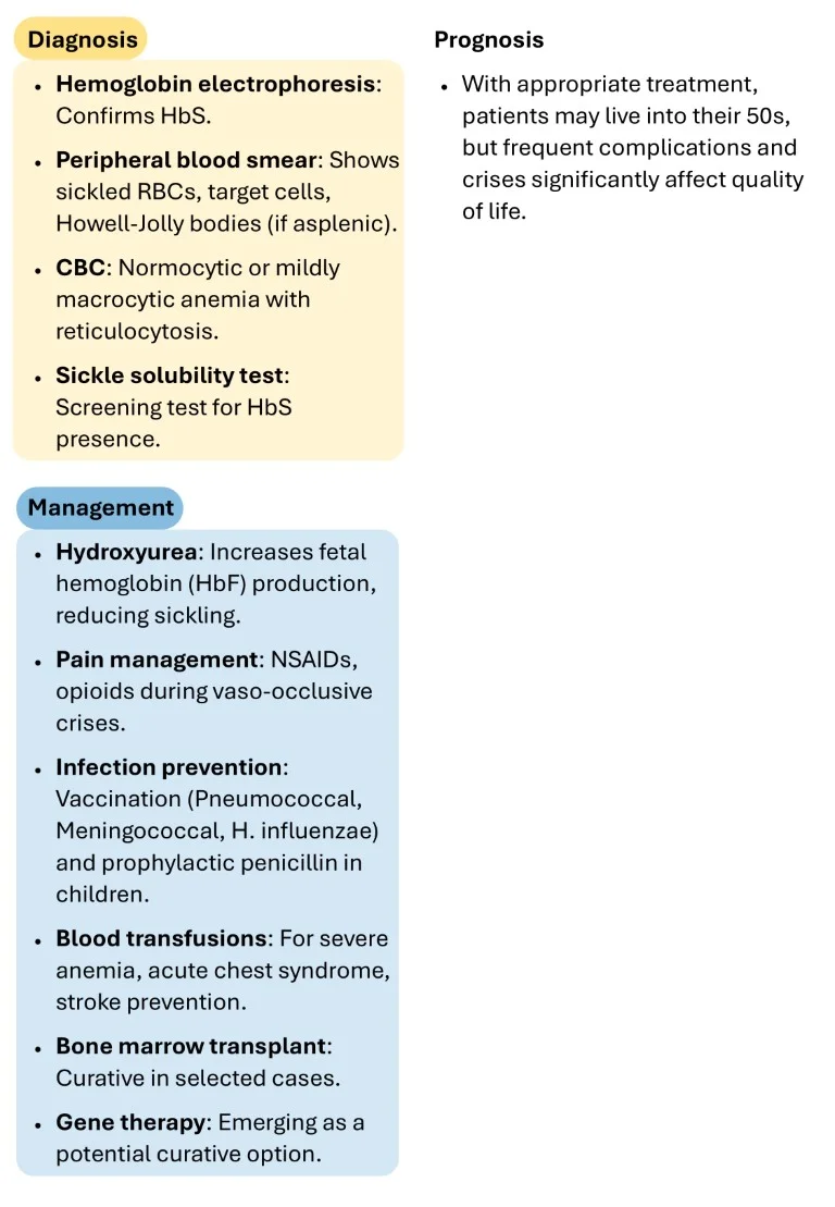 Download Cambridge Hematology Short Notes Book Sample (15)