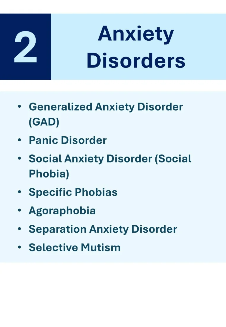 Download-Cambridge-Psychiatry-Short-Notes-Book-Sample (13)